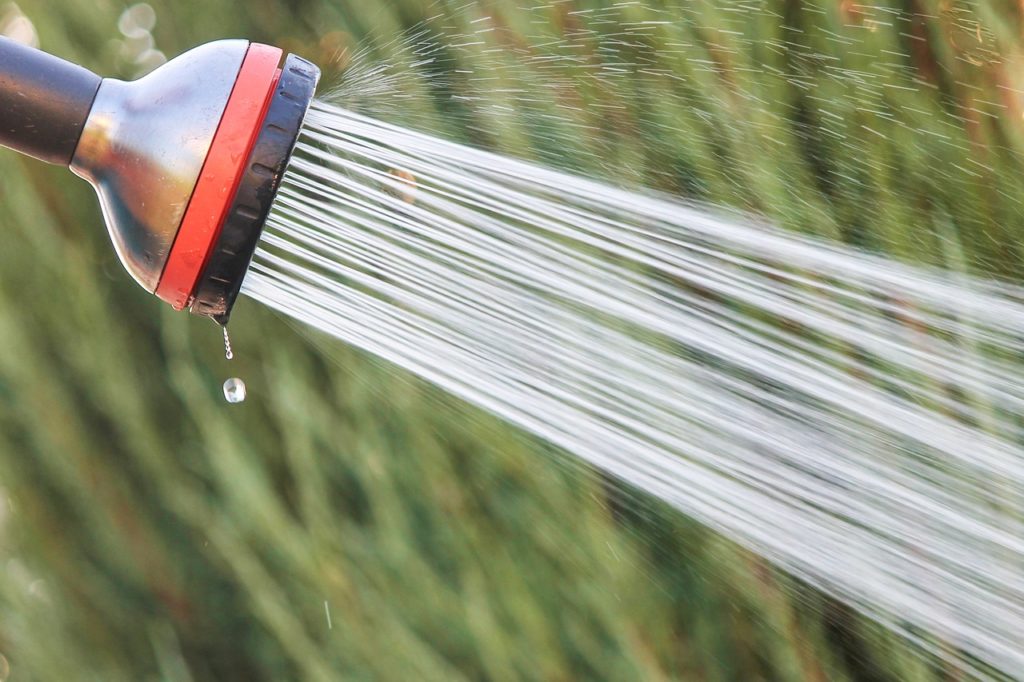 shower head