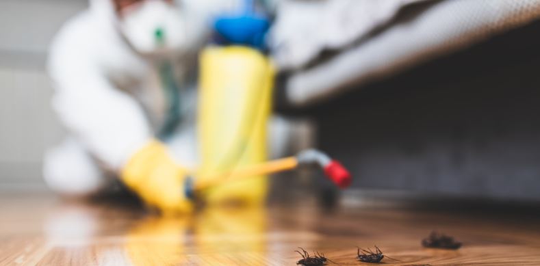 home pest control